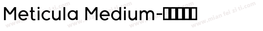 Meticula Medium字体转换